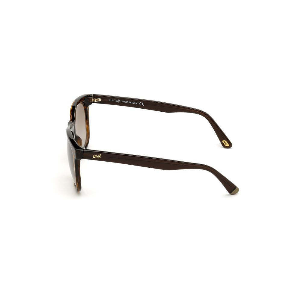 Brown Acetate Sunglasses
