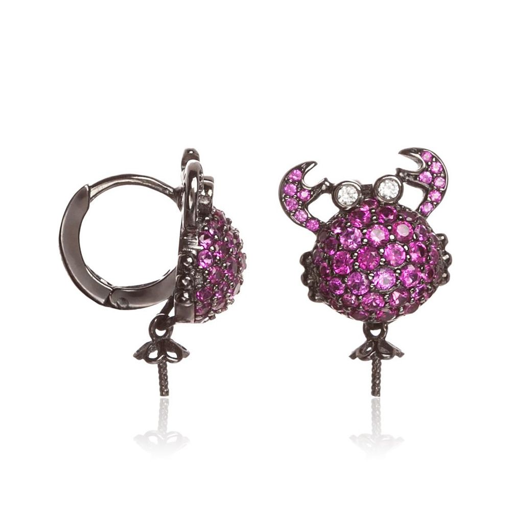 Bicolor Silver Earrings