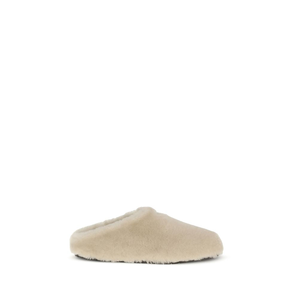 Beige Lamb Ovis Aries Aries Mules