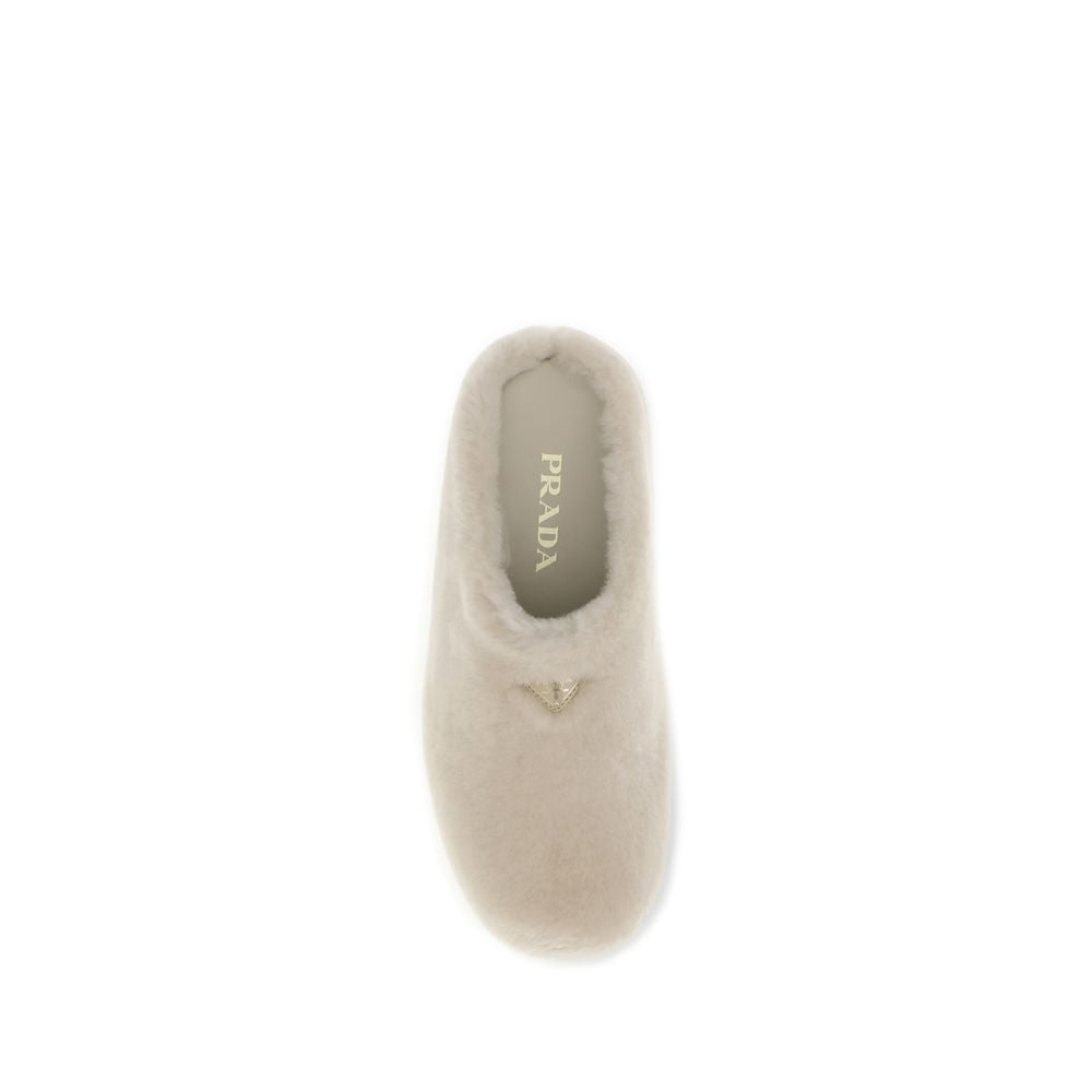 Beige Lamb Ovis Aries Aries Mules
