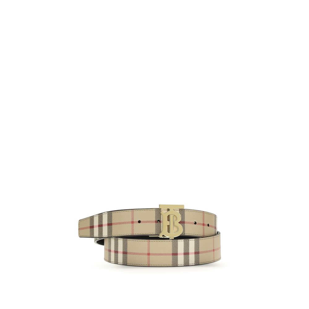 Beige Polyethylene Belt
