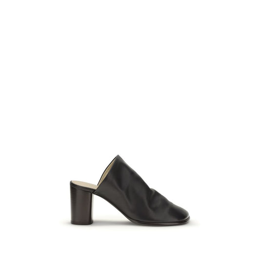 Black Lamb Ovis Aries Aries Mules