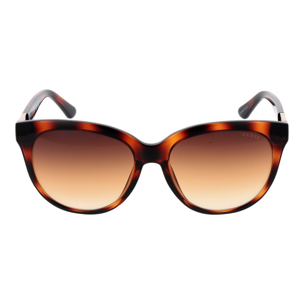 Brown Plastic Sunglasses