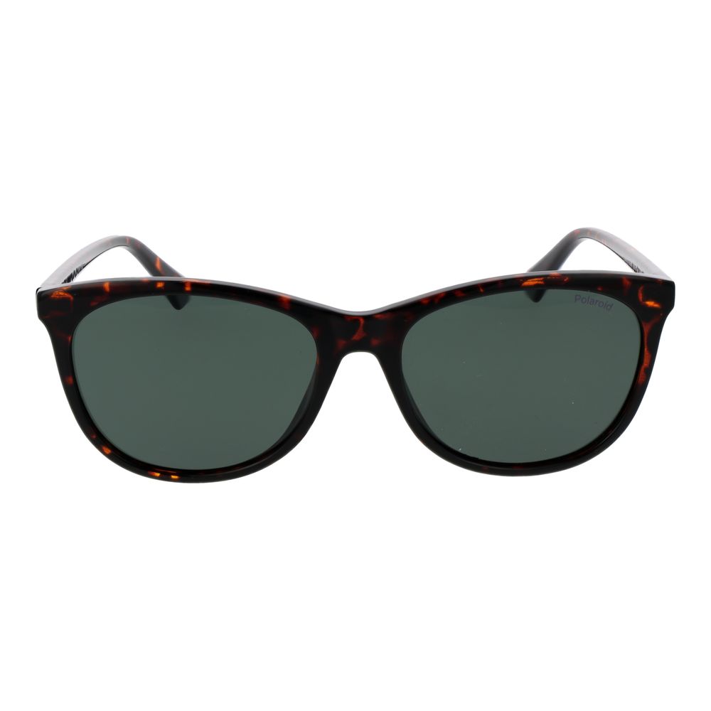 Brown Plastic Sunglasses