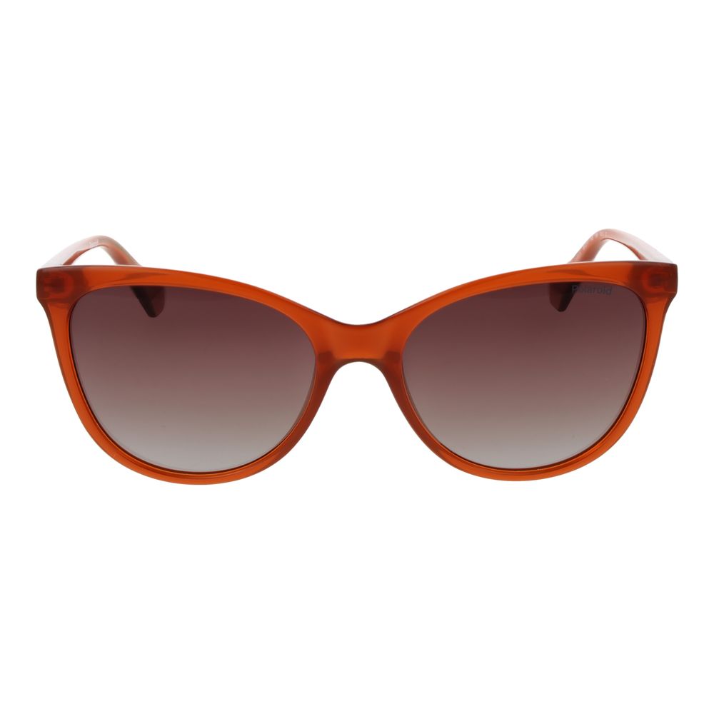 Brown Plastic Sunglasses