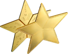 Lingotti Oro