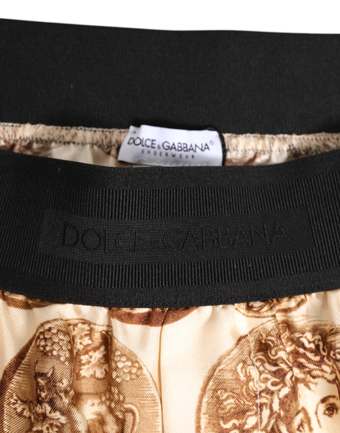 Brown Ancient Coin Print Silk Shorts Swimwear
