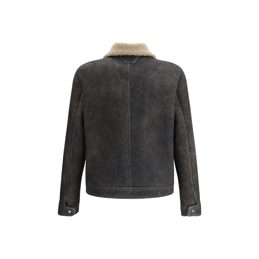 Gray Lamb Ovis Aries Aries Coat