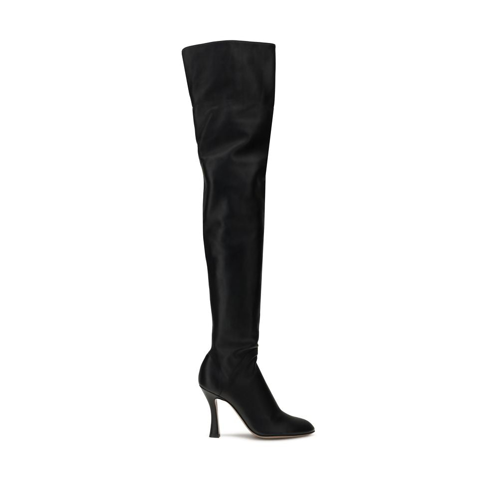 Black Lamb Ovis Aries Aries Over The Knee
