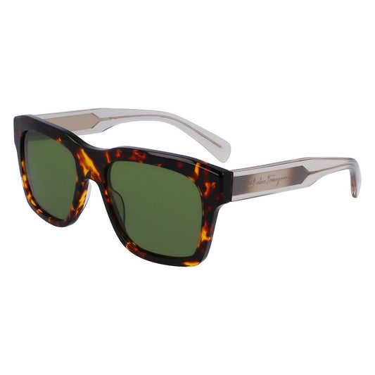 Brown Acetate Sunglasses