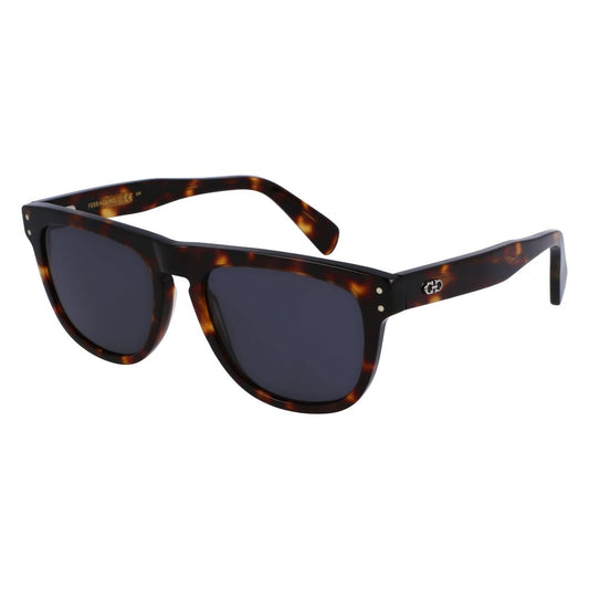 Brown Acetate Sunglasses