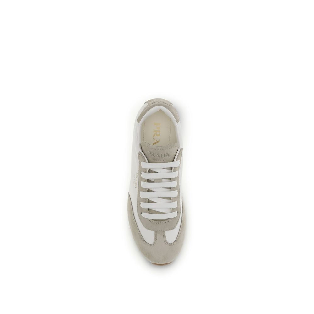 Beige Lamb Ovis Aries Aries Low Top Sneakers